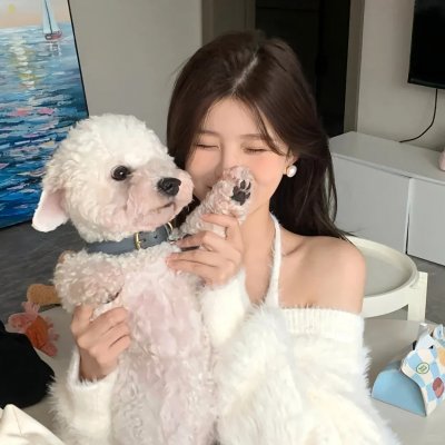 猫贼